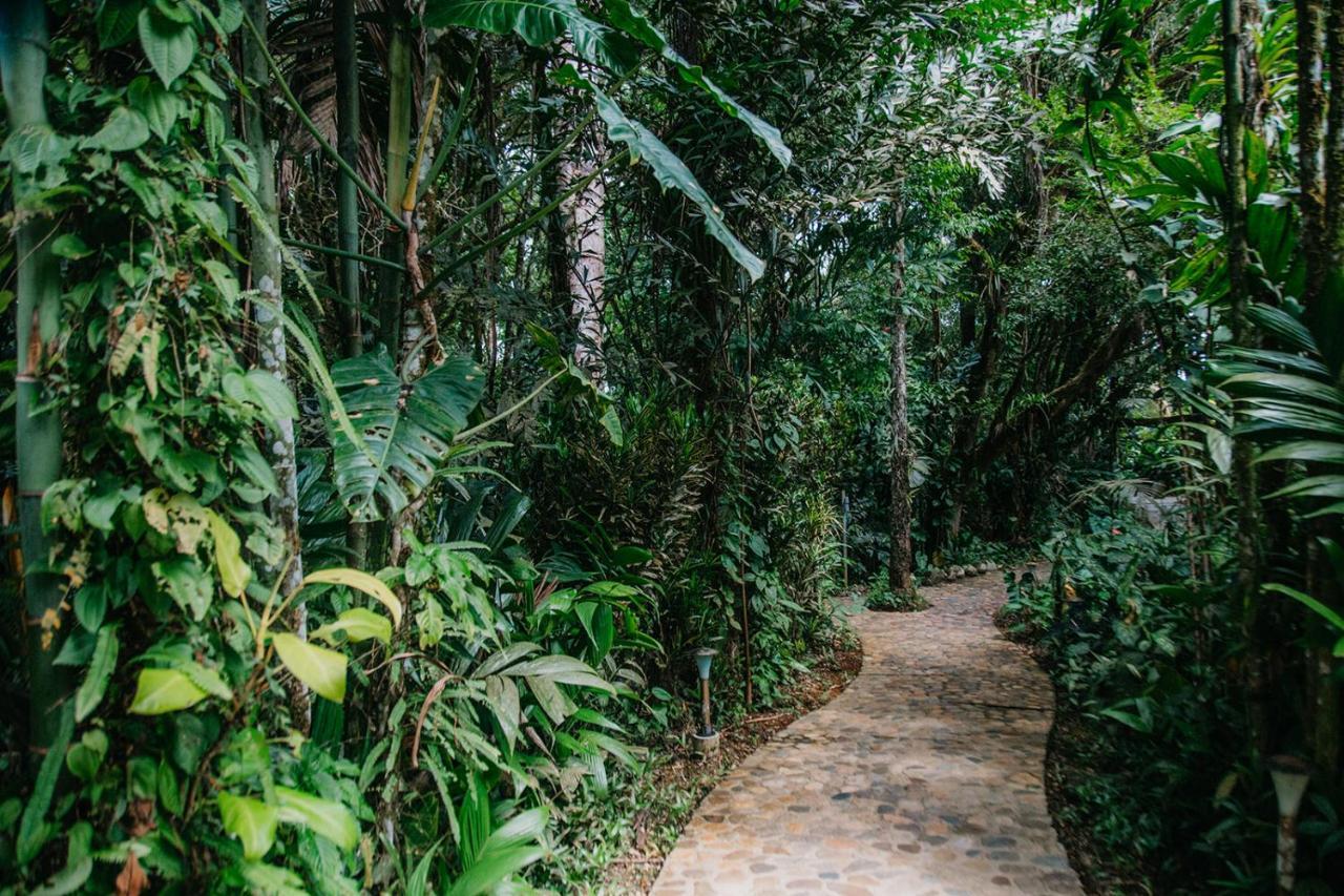 Arahuana Jungle Resort & Spa تينا المظهر الخارجي الصورة