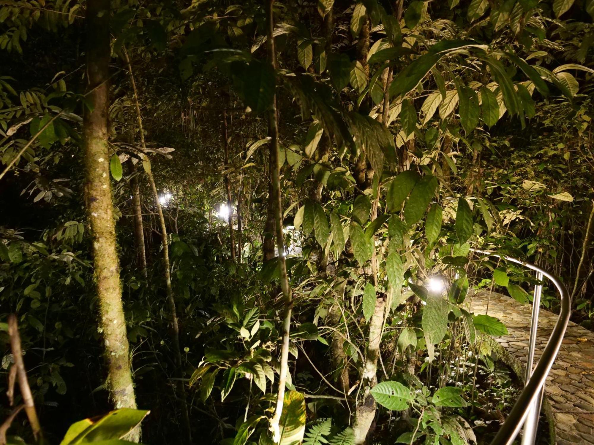 Arahuana Jungle Resort & Spa تينا المظهر الخارجي الصورة