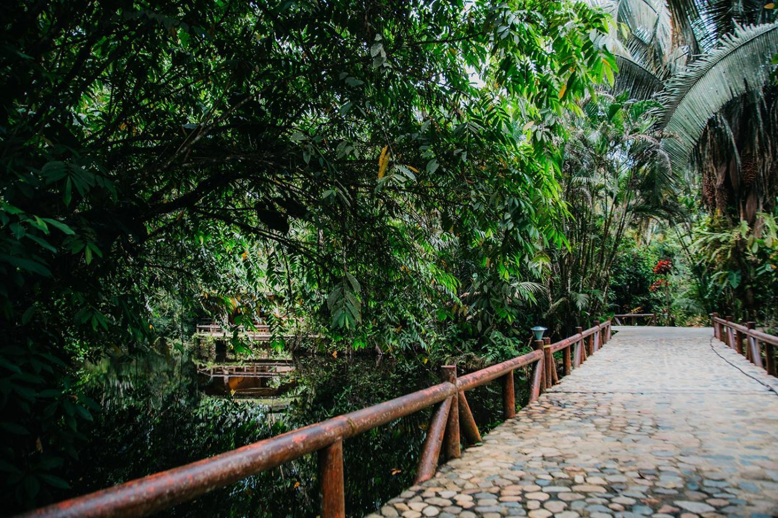 Arahuana Jungle Resort & Spa تينا المظهر الخارجي الصورة