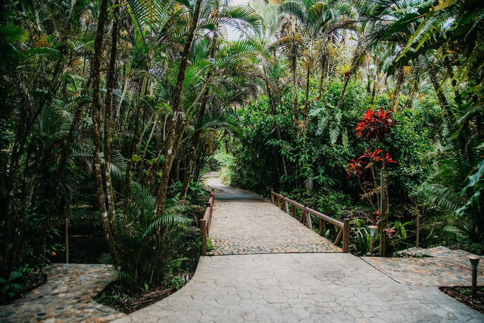 Arahuana Jungle Resort & Spa تينا المظهر الخارجي الصورة