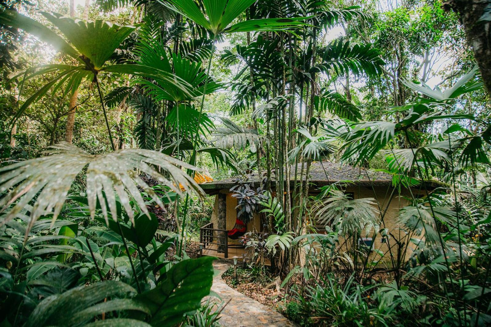 Arahuana Jungle Resort & Spa تينا المظهر الخارجي الصورة