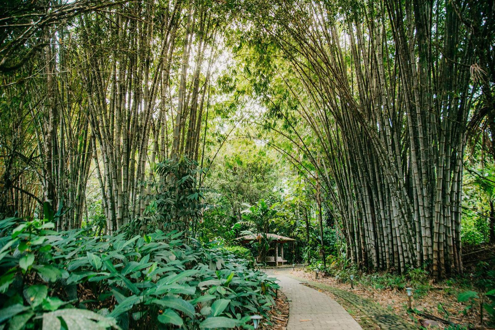 Arahuana Jungle Resort & Spa تينا المظهر الخارجي الصورة