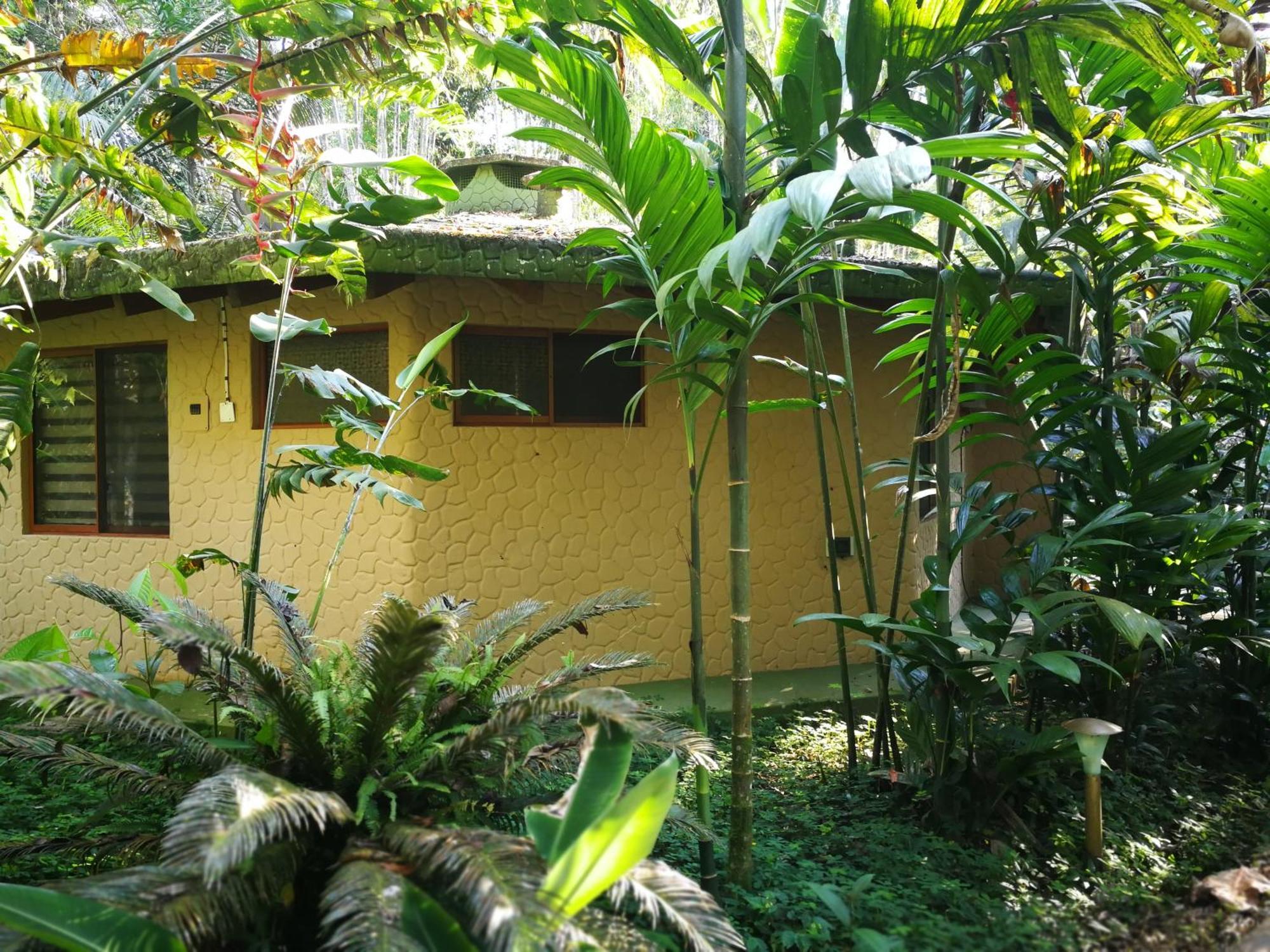 Arahuana Jungle Resort & Spa تينا المظهر الخارجي الصورة