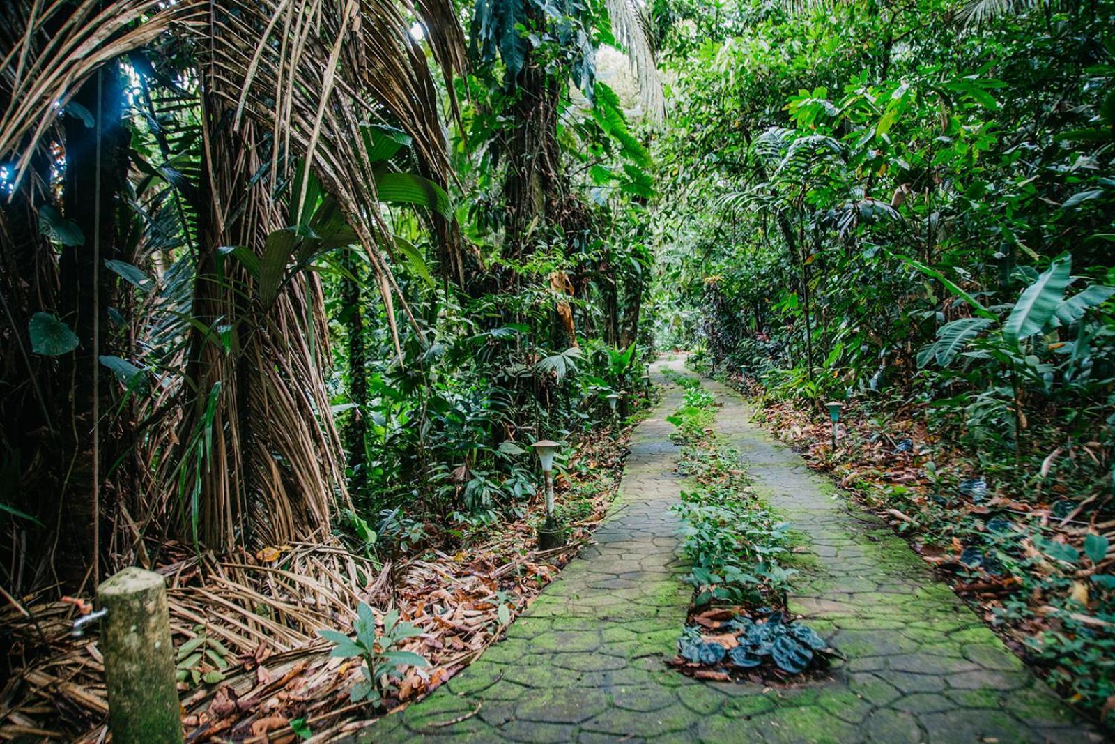 Arahuana Jungle Resort & Spa تينا المظهر الخارجي الصورة