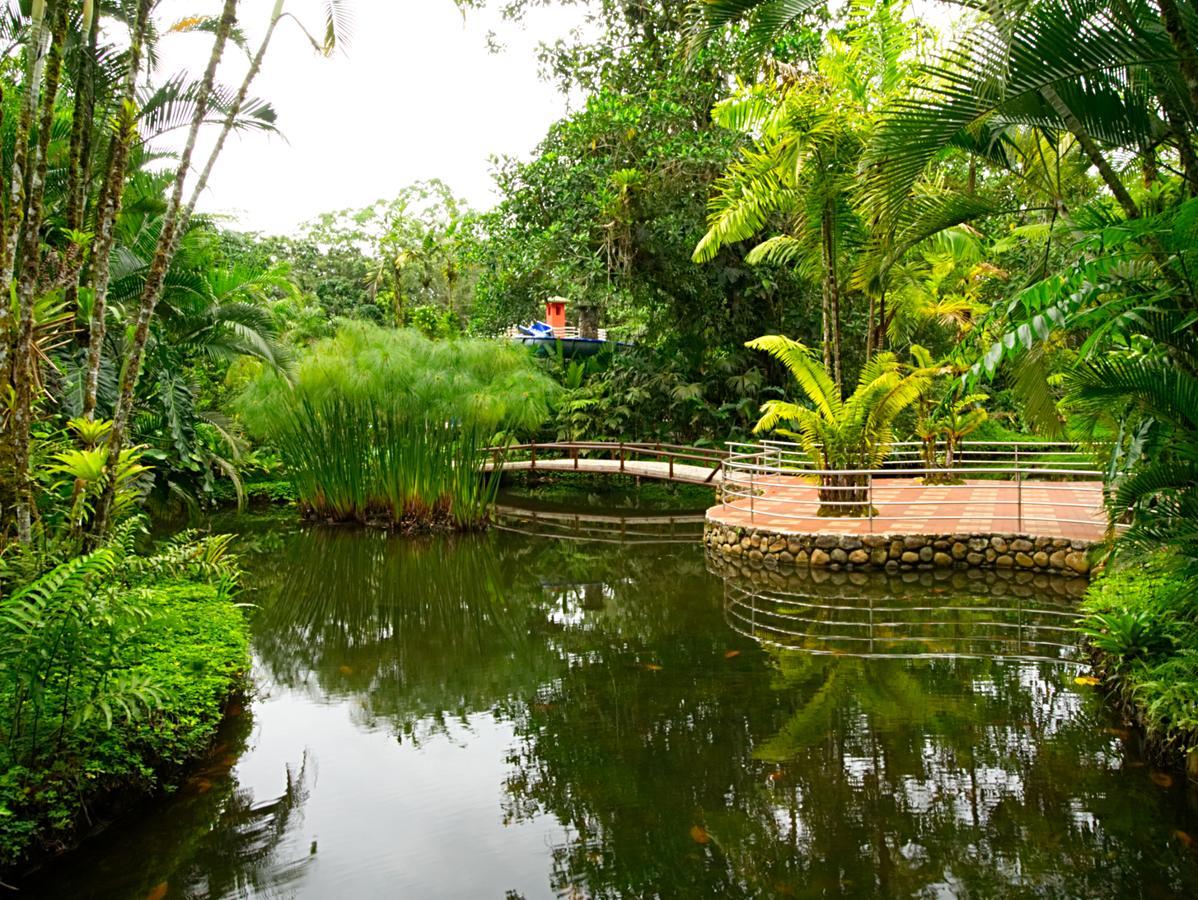 Arahuana Jungle Resort & Spa تينا المظهر الخارجي الصورة